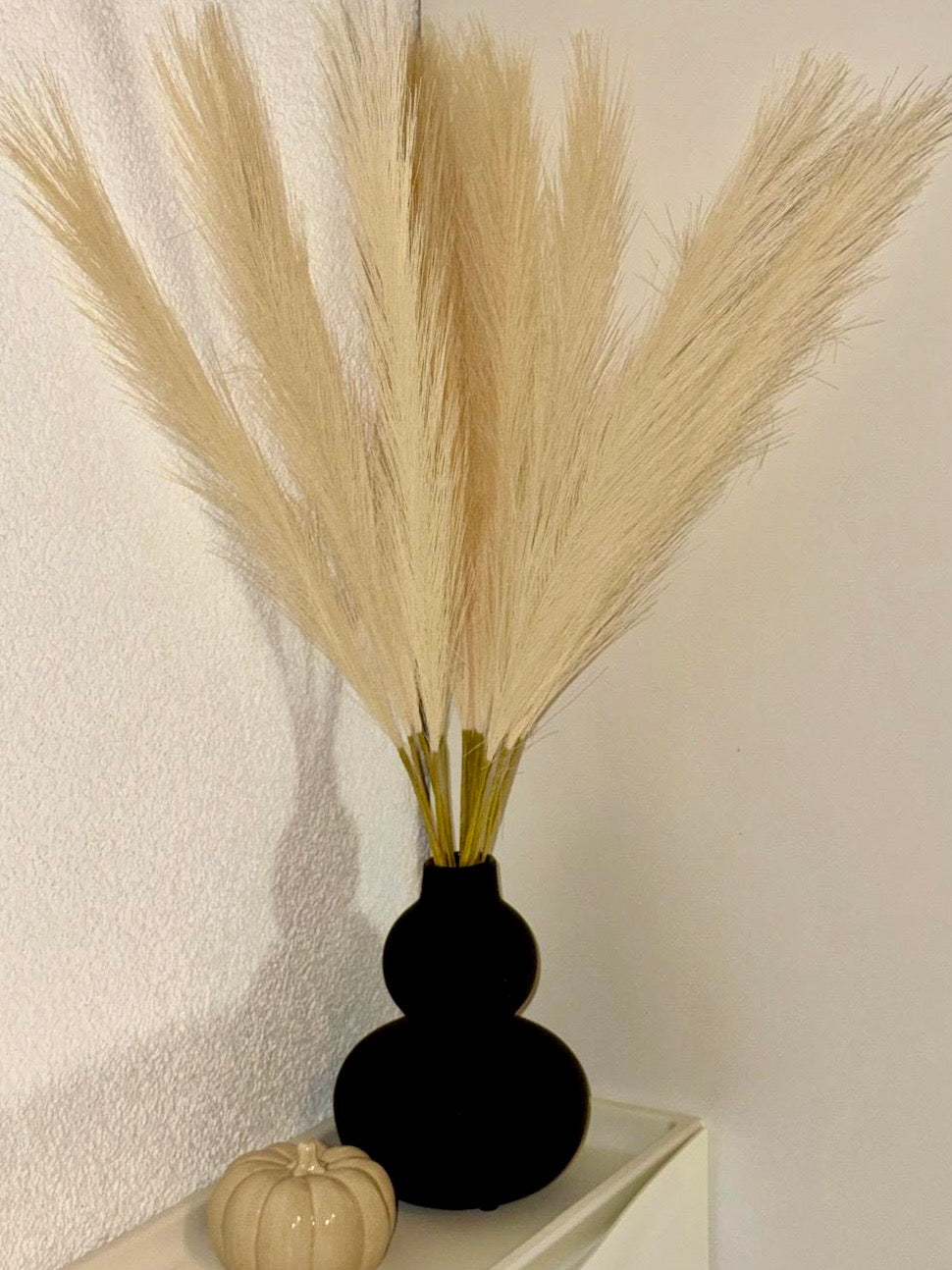 Pampasgras - 50 cm