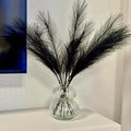 Pampasgras - 50 cm